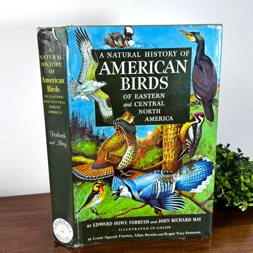 1955 A Natural History of American Birds Forbush May Illustrated Hardcover